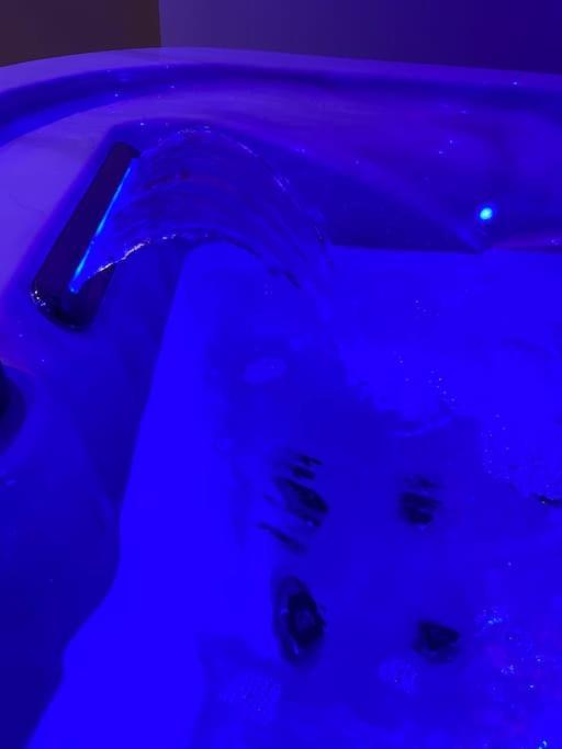 Maison Avec Jacuzzi 오랑주 외부 사진